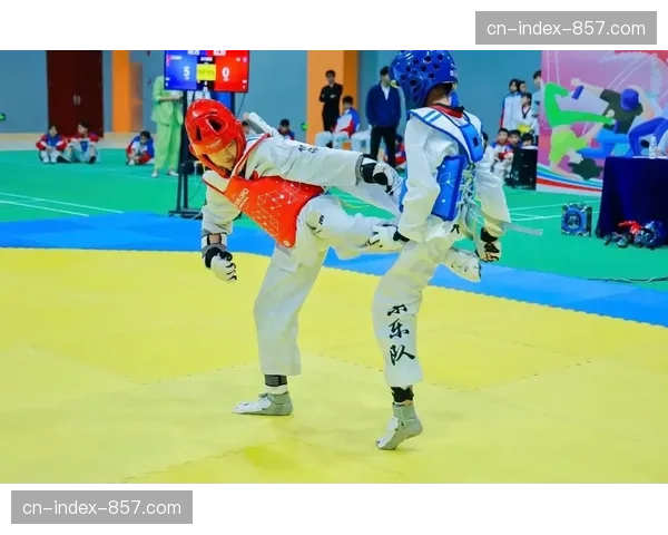 电子护具系统普及趋势:自动化判定如何改变跆拳道竞技格局与训练方向 电子护具系统普及趋势:自动化判定如何改变跆拳道竞技格局与训练方向