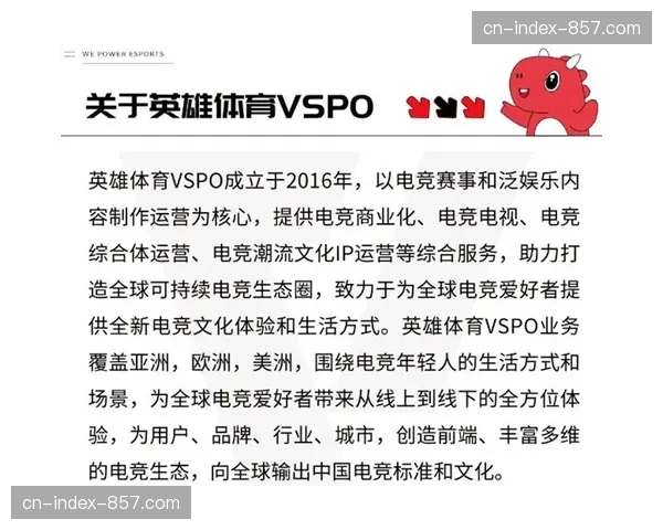 “新加坡体育理事会更新综合格斗赛事医疗准入标准，脑震荡协议加严”